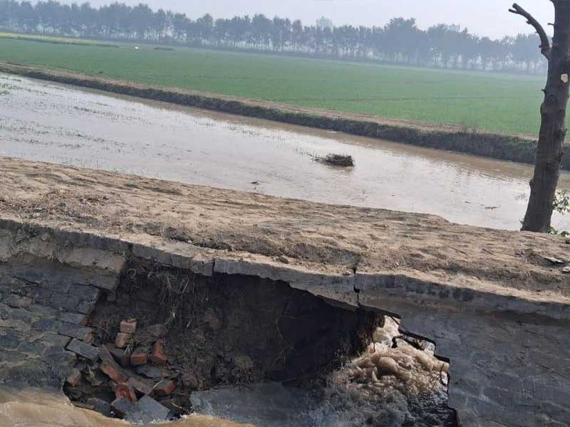 ਨਹਿਰ ਚ ਪਿਆ ਪਾੜ ਕਣਕ ਦੀ ਫਸਲ ਡੁੱਬੀ