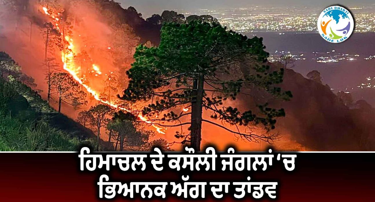 ਹਿਮਾਚਲ ਦੇ ਕਸੌਲੀ ਜੰਗਲਾਂ ‘ਚ ਭਿਆਨਕ ਅੱਗ ਦਾ ਤਾਂਡਵ