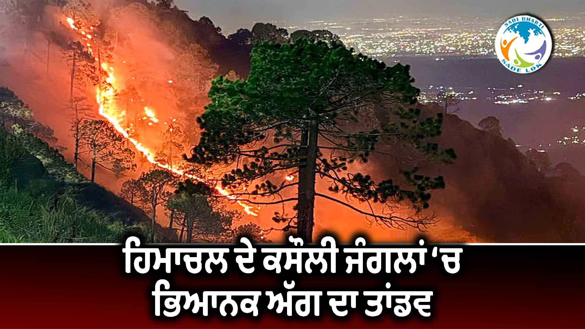 ਹਿਮਾਚਲ ਦੇ ਕਸੌਲੀ ਜੰਗਲਾਂ ‘ਚ ਭਿਆਨਕ ਅੱਗ ਦਾ ਤਾਂਡਵ