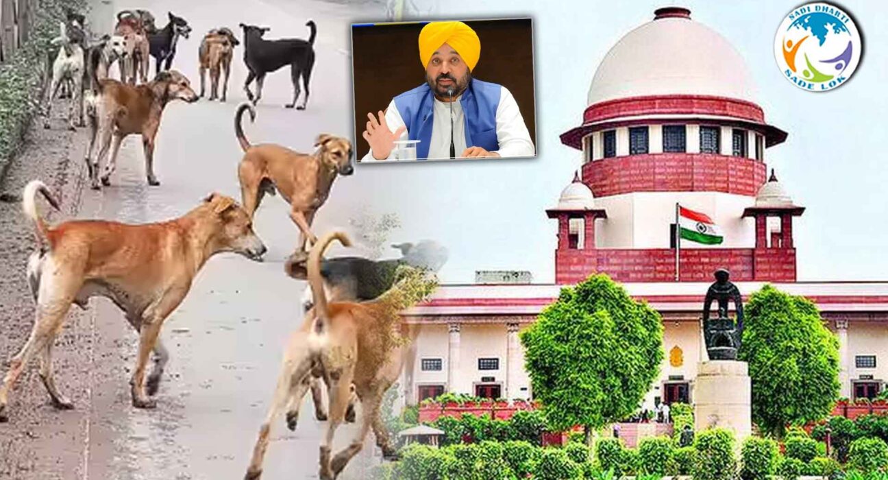 ਆਵਾਰਾ ਕੁੱਤਿਆਂ ਦੇ ਮਾਮਲੇ ‘ਚ ਸੁਪਰੀਮ ਕੋਰਟ ਦਾ ਵੱਡਾ ਫੈਸਲਾ