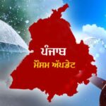 ਪੰਜਾਬ ਸਰਕਾਰ ਵੱਲੋਂ ਸੁਪਰੀਮ ਕੋਰਟ ਦੇ ਆਦੇਸ਼ ਨੂੰ ਲਾਗੂ ਕਰਨ ਦਾ ਫੈਸਲਾ, ਸੜਕਾਂ ਤੋਂ ਹਟਾਏ ਜਾਣਗੇ ਆਵਾਰਾ ਕੁੱਤੇ