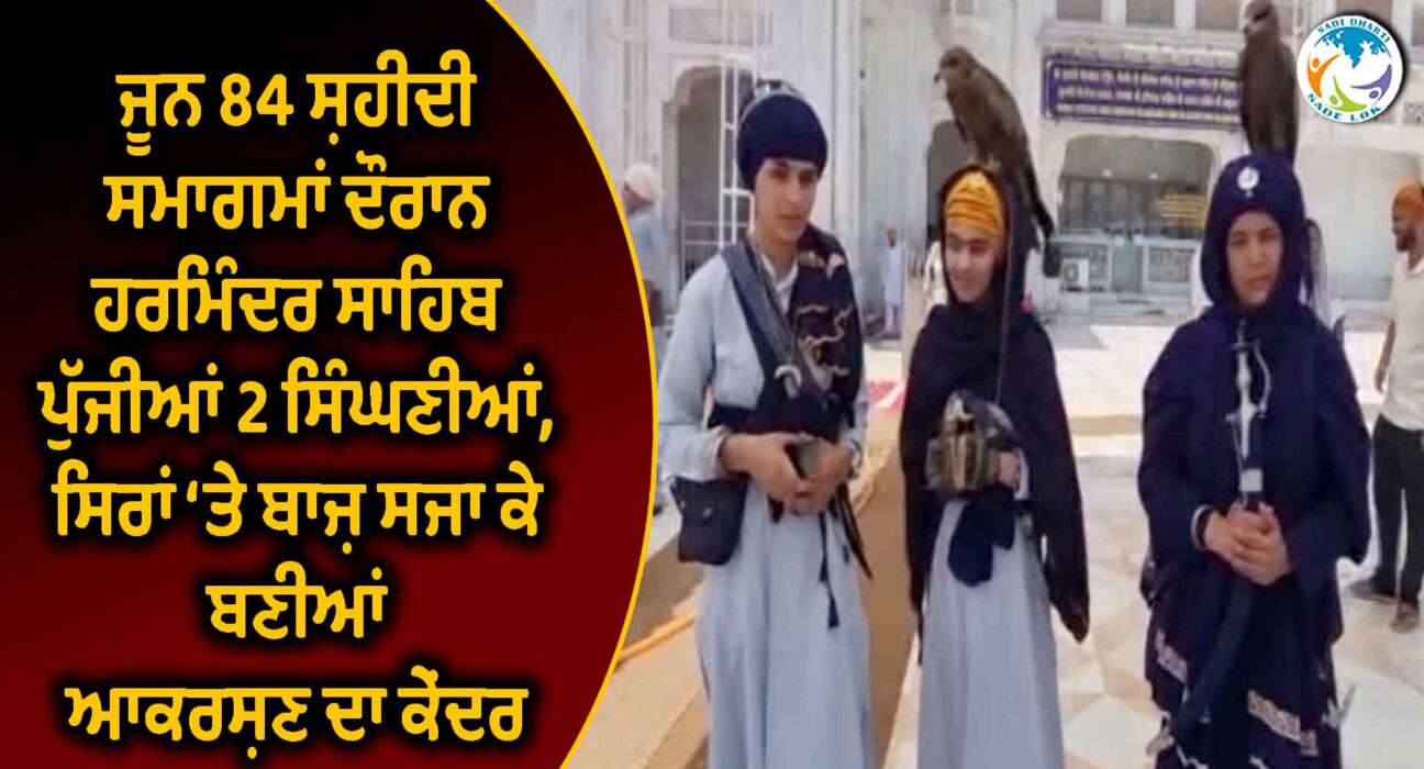ਜੂਨ 84 ਸ਼ਹੀਦੀ ਸਮਾਗਮਾਂ ਦੌਰਾਨ ਹਰਿਮੰਦਰ ਸਾਹਿਬ ਪੁੱਜੀਆਂ 2 ਸਿੰਘਣੀਆਂ, ਸਿਰਾਂ ‘ਤੇ ਬਾਜ਼ ਸਜਾ ਕੇ ਬਣੀਆਂ ਆਕਰਸ਼ਣ ਦਾ ਕੇਂਦਰ