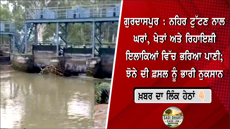 ਗੁਰਦਾਸਪੁਰ :  ਨਹਿਰ ਟੁੱਟਣ ਨਾਲ ਘਰਾਂ, ਖੇਤਾਂ ਅਤੇ ਰਿਹਾਇਸ਼ੀ ਇਲਾਕਿਆਂ ਵਿੱਚ ਭਰਿਆ ਪਾਣੀ; ਝੋਨੇ ਦੀ ਫ਼ਸਲ ਨੂੰ ਭਾਰੀ ਨੁਕਸਾਨ