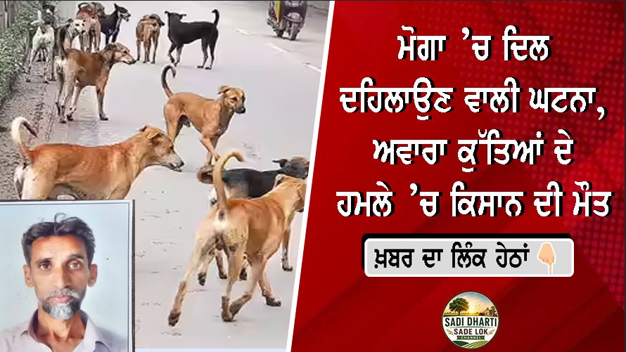 ਮੋਗਾ ’ਚ ਦਿਲ ਦਹਿਲਾਉਣ ਵਾਲੀ ਘਟਨਾ, ਅਵਾਰਾ ਕੁੱਤਿਆਂ ਦੇ ਹਮਲੇ ’ਚ ਕਿਸਾਨ ਦੀ ਮੌਤ