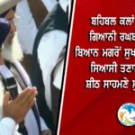 ਕਾਕਰੋਚ ਜਨਤਾ ਪਾਰਟੀ’ ਤੋਂ ਬਾਅਦ ਐਲਵਿਸ਼ ਯਾਦਵ ਦੀ ‘ਖਰਗੋਸ਼ ਜਨਤਾ ਪਾਰਟੀ’ ਦੀ ਐਂਟਰੀ