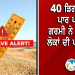 ਸ਼ਹੀਦੀ ਦਿਹਾੜੇ ਮੌਕੇ 541 ਸਿੱਖ ਸ਼ਰਧਾਲੂ ਪਾਕਿਸਤਾਨ ਲਈ ਰਵਾਨਾ, ਨਨਕਾਣਾ ਸਾਹਿਬ ਸਮੇਤ ਇਤਿਹਾਸਕ ਗੁਰਧਾਮਾਂ ਦੇ ਕਰਨਗੇ ਦਰਸ਼ਨ