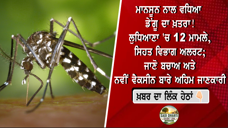 ਮਾਨਸੂਨ ਨਾਲ ਵਧਿਆ ਡੇਂਗੂ ਦਾ ਖ਼ਤਰਾ! ਲੁਧਿਆਣਾ 'ਚ 12 ਮਾਮਲੇ, ਸਿਹਤ ਵਿਭਾਗ ਅਲਰਟ; ਜਾਣੋ ਬਚਾਅ ਅਤੇ ਨਵੀਂ ਵੈਕਸੀਨ ਬਾਰੇ ਅਹਿਮ ਜਾਣਕਾਰੀ