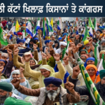 ਪੰਜਾਬ ਬਿਜਲੀ ਸੰਕਟ ਤੋਂ ਬਾਹਰ, ਆਉਣ ਵਾਲੇ ਦਿਨਾਂ ’ਚ ਨਹੀਂ ਹੋਵੇਗੀ ਕਟੌਤੀ: ਕੁਲਦੀਪ ਧਾਲੀਵਾਲ