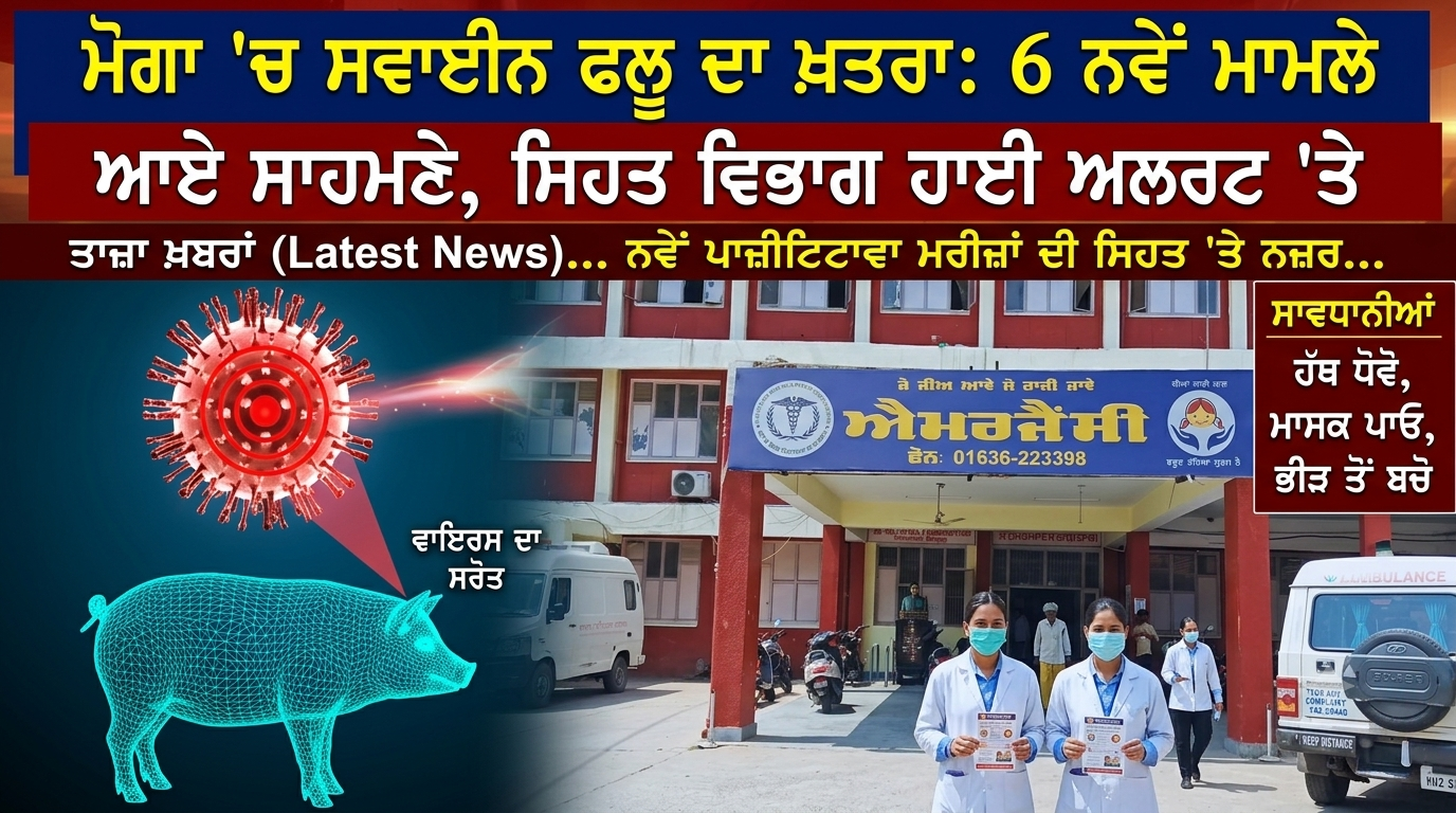 ਮੋਗਾ 'ਚ ਸਵਾਈਨ ਫਲੂ ਦਾ ਖ਼ਤਰਾ: 6 ਨਵੇਂ ਮਾਮਲੇ ਆਏ ਸਾਹਮਣੇ, 1 ਮਰੀਜ਼ ਦੀ ਮੌਤ ਤੋਂ ਬਾਅਦ ਸਿਹਤ ਵਿਭਾਗ ਹਾਈ ਅਲਰਟ 'ਤੇ