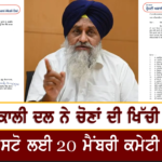 ਨਾਭਾ ਯੂਥ ਅਕਾਲੀ ਦਲ ਦੇ ਨਵੇਂ ਪ੍ਰਧਾਨ ਬਣੇ ਪਰਮਜੋਤ ਸਿੰਘ